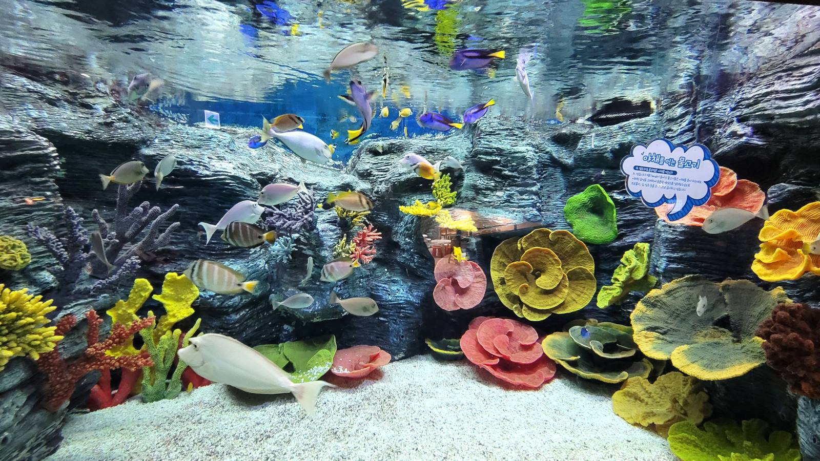 樂天世界水族館